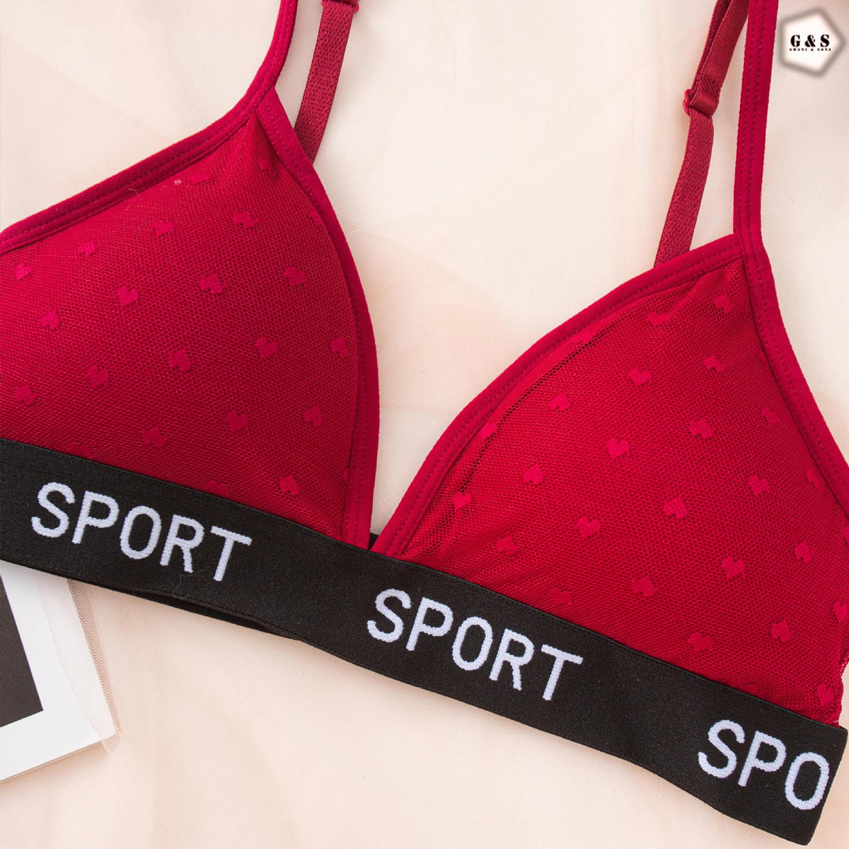 Mesh Net Pack Of 2 Back Hook Design Bralette With T-Panty Set