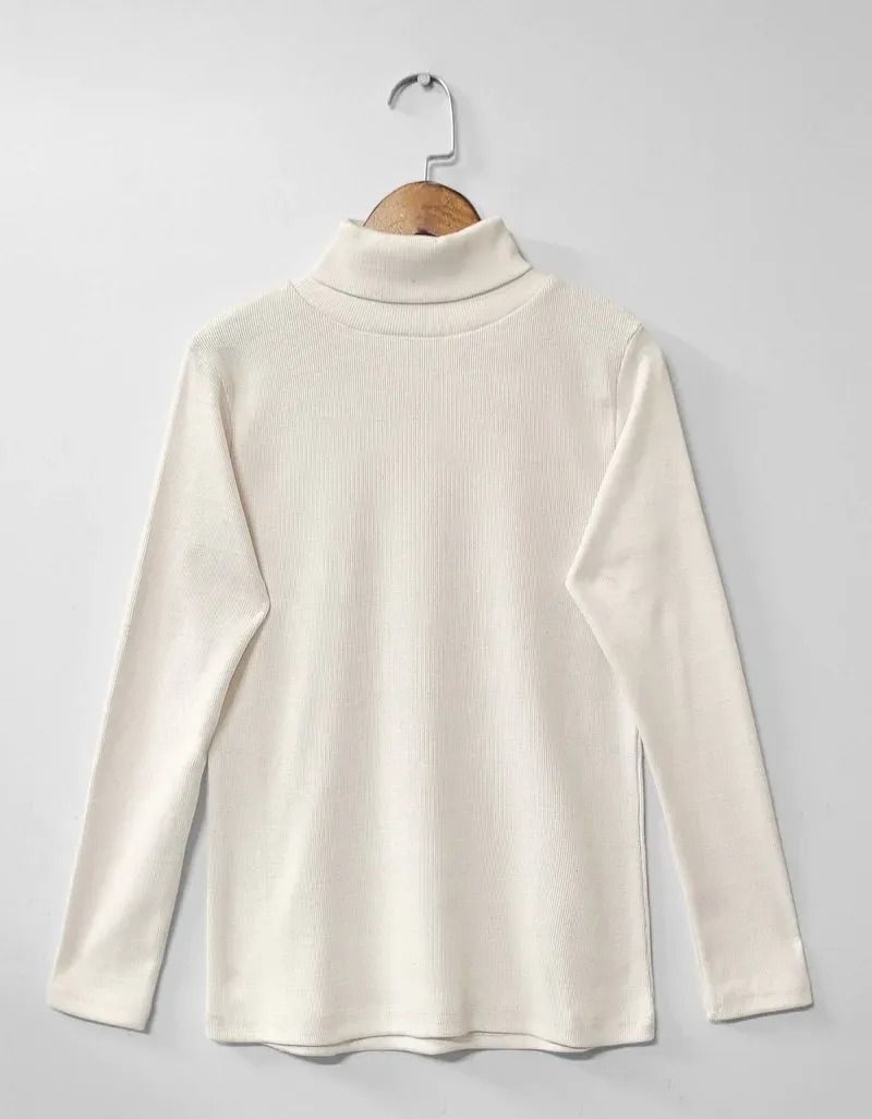 Plain Warm Fleece High neck CH-379